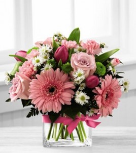 Blooming Visions by Better Homes & Gardens 