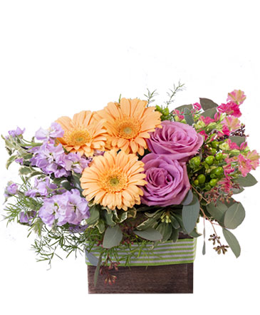 Blooming Wild Floral Design in Cincinnati, OH | Reading Floral Boutique