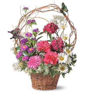 Blooms and Butterflies 