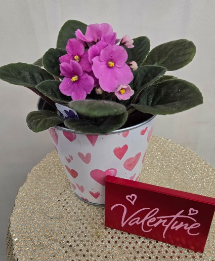 Blooms and Sweets Valentine