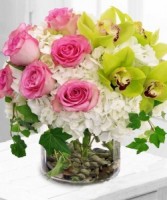 Blooms of flower Arrangement assorted flowers