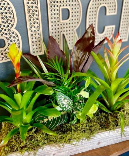 Styled Dish Garden 