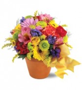 Blossom Potpourri 