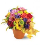 Blossom Potpourri 