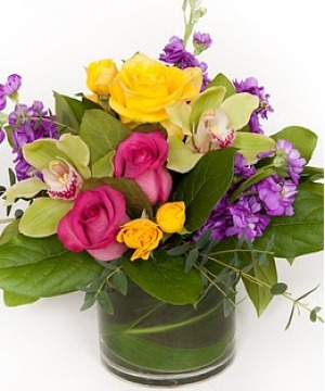 Blossoms & Blooms 