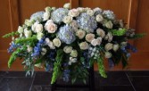 Blue and white hydrangea 