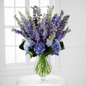 Blue Bliss 