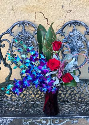 Blue Bombshell Orchid  