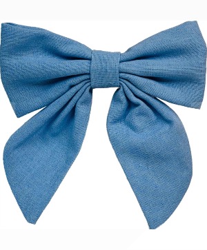 Blue Bottle Bow 