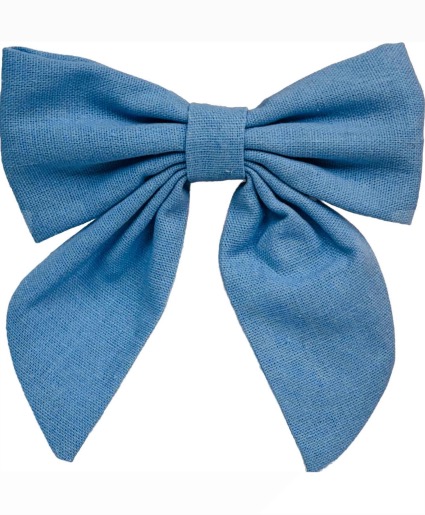 Blue Bottle Bow 