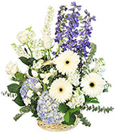 Blue Bundles of Joy Basket Arrangement