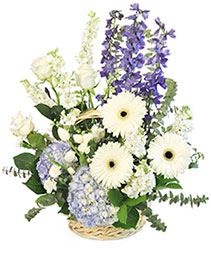 Blue Bundles of Joy Basket Arrangement
