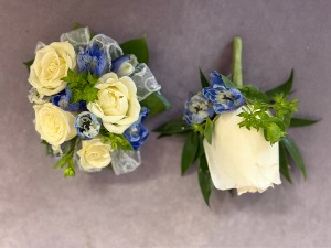 Blue Classic 