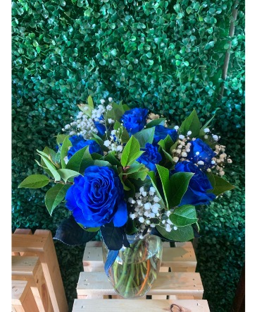 Blue Dream Dozen Blue Roses Roses in Whittier, CA | AZ Whittier Florist