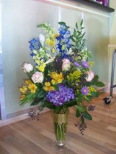 BLUE EXPRESSION everyday