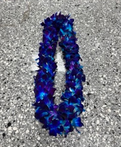 Blue Graduation Lei 