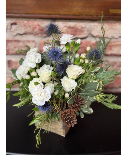 Blue Haven 