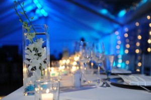 Blue Hue Reception 
