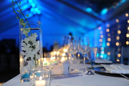 Blue Hue Reception 