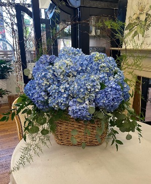 Blue Hydrangea Garden Basket 