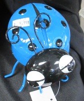 Blue Ladybug 