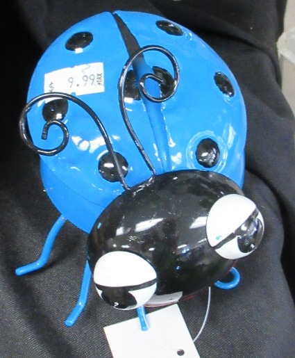 Blue Ladybug 