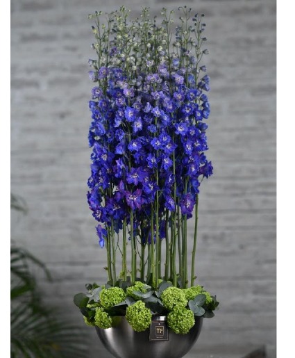 Blue Noble  Pre-order for next day Delivery -  The Home or Office 