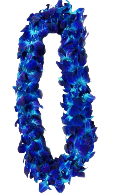 Blue Orchid Bombay Lei  in Whittier, CA | Rosemantico Flowers