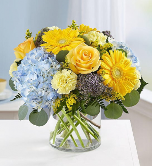 Blue Skies Bouquet every day