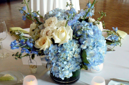 blue sky  spring 