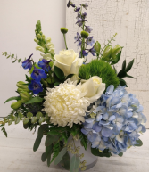 Blue Sky's Arrangement 