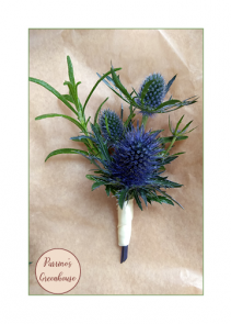 Blue Thistle 