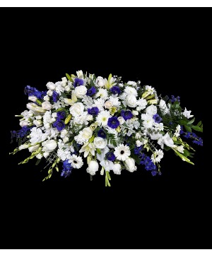 Blue & White Serenity 