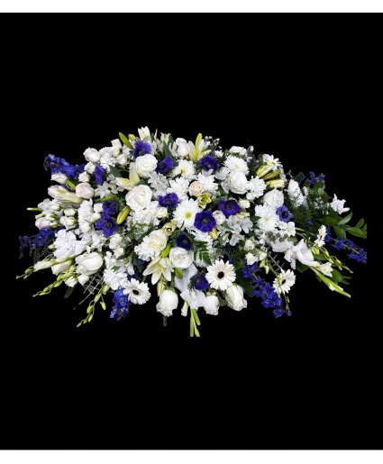 Blue & White Serenity 
