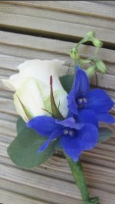 Blue wonder Boutonnière