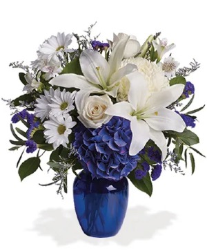 Blues - 00376 