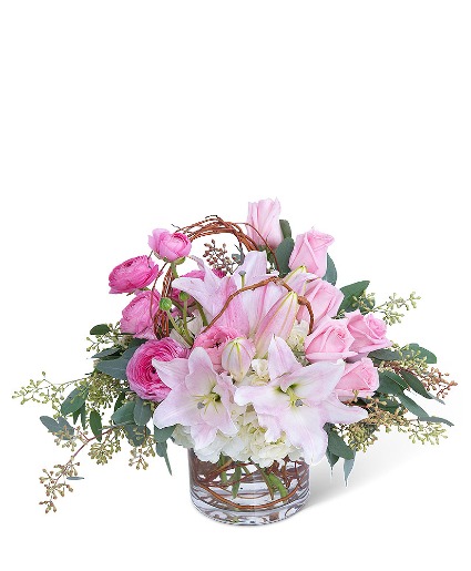 Blush and Willow 
