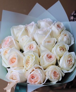 Blush Bella  Sweet Smelling Garden Roses 