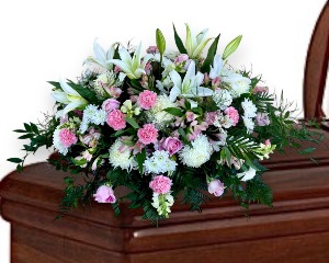 Blush Casket 