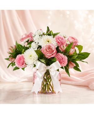 Blush & Ivory Dreams Call Us for Faster Service & Daily Specials: (915) 303-8500 Text Us to Order Anytime: (915) 505-3708 Your trusted source for Flowers & Delivery in El Paso TX