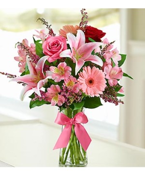 Blush Love 