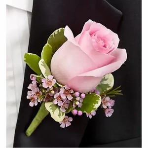 Blush Pink Rose 