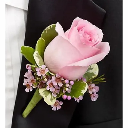 Blush Pink Rose 