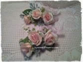 "The Set" Spray Roses  Wrist Corsage & Boutonniere