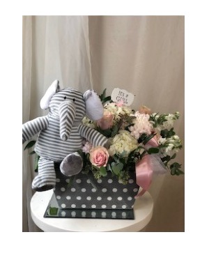 Blushing Baby Girl  Floral Arrangement 