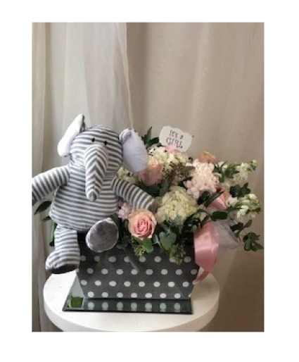Blushing Baby Girl  Floral Arrangement 