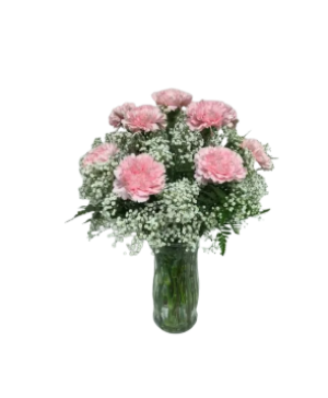 Blushing Carnation dozen  Vase Arrangement 