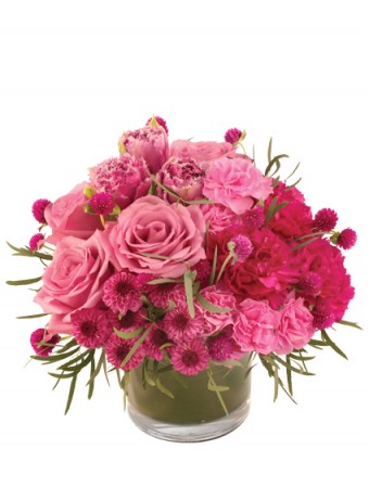 Blushing Love Arrangement in San Rafael, CA | BURNS FLORIST
