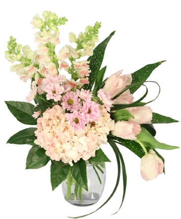 Blushing Triumph Floral Arrangement in Darien, CT | DARIEN FLOWERS