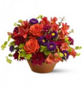 F100 - Bold Delight Arrangement